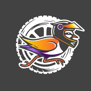 Аватар Телеграм канала "Moto Lapwing | Мотоэкипировка и Запчасти" @motolapwing