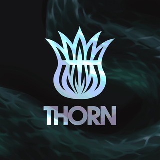 Аватар Телеграм канала "Тёрн | THORN" @thorn_thistle