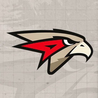 Аватар Телеграм канала "ХК «Омские Ястребы» | Официальный канал" @omsk_hawks
