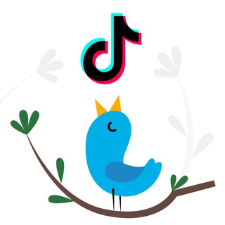 Twitter и TikTok - TgScanner