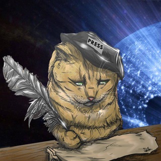 Аватар Телеграм каналу "CatNews" @cat0news