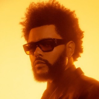 Журнал СОК - TgScanner