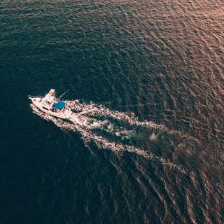 إبحار 🚢 - TgScanner