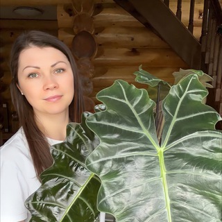 Avatar of Telegram channel "Маша дома" @Masha_Domaa