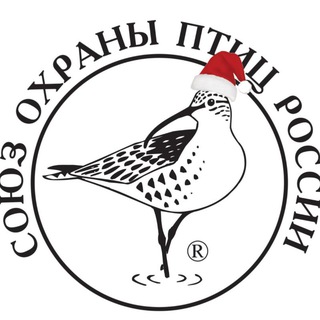 Союз охраны птиц России - TgScanner