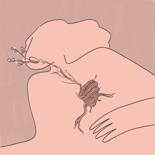 lampabegaet - TgScanner