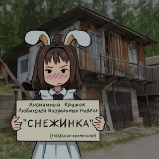 Аватар Телеграм канала "АКЛВН «Снежинка»" @anonvnclubsnejinka