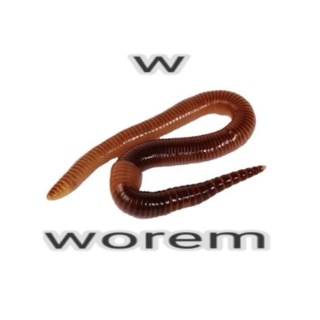 Avatar del canal de Telegram "🌀🧠🪱GibletWorm🧠🪱🌀" @uglybastardgibletworm