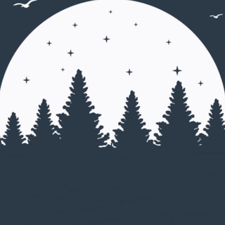 Avatar of Telegram channel "STL Forest 🌲" @stlforest