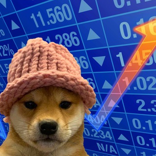 Avatar of Telegram channel "dogwifhat" @dogwifcoin