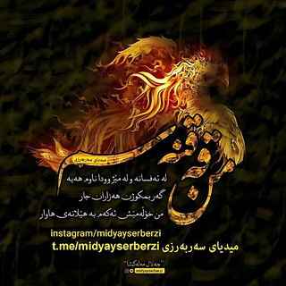 Avatar of Telegram channel "میدیای سەربەرزی" @midyayserberzi