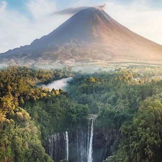 Аватар Телеграм канала "☆꧁ Nαƚυɾҽ Iʂ Lιƚ ꧂☆" @natureislit