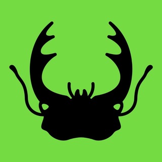 ДніпроПуть 🌱 - TgScanner