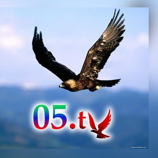 05.tv - TgScanner