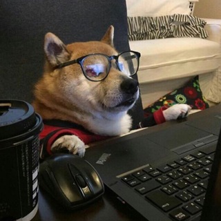 уволено - TgScanner