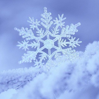 තුහින❄️ - TgScanner