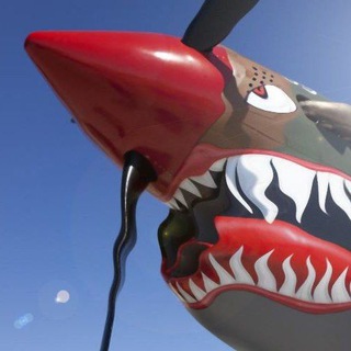 Avatar of Telegram channel "Angry Warhawk" @angrywarhawk