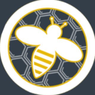 CoinsBee - TgScanner