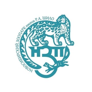 Avatar of Telegram channel "Новосибирский зоопарк" @nsk_zoo