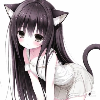 кошко девачки кф&дейли - TgScanner