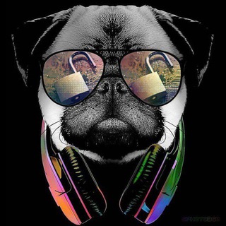 ETHICAL HACKERS - TgScanner