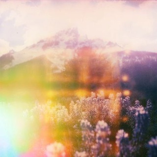мираж Зирис | рест - TgScanner