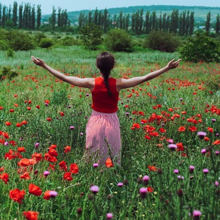 Многодетные финансы ♥️ - TgScanner