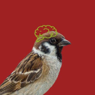 Аватар Телеграм каналу "Продуктовошная Михаила Грекова" @suda_smotri