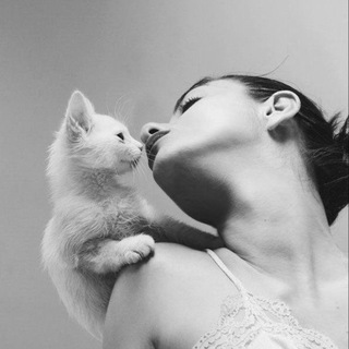 ᴀʀᴍ.ʙᴏᴏᴋs ♡︎ - TgScanner