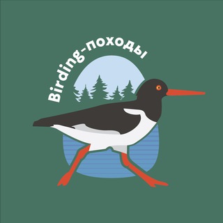 Birding-походы - TgScanner