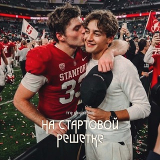 на стартовой решетке - TgScanner