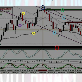 Binary High Accuracy Indicator - TgScanner