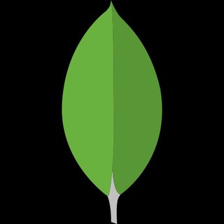MongoDB Russian - TgScanner