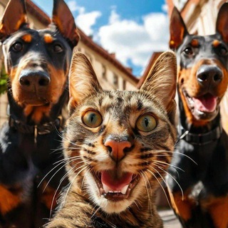 Рисунки ИИ 3.0 - TgScanner