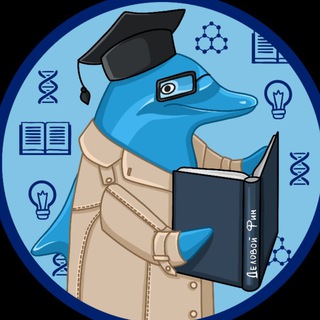 Аватар Телеграм каналу "Доктор Фин I Психосоматика I Психолог Романова Наталия" @diligentfin