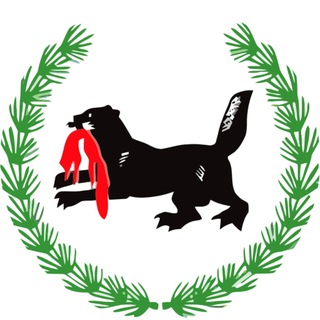 Новости Иркутска и Области - TgScanner