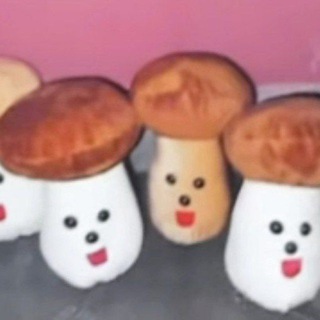 papagribokoff - TgScanner