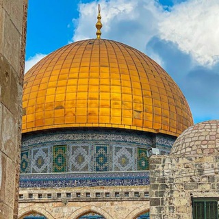 يوسف زمزم الشافعي - TgScanner