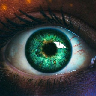 Психология - TgScanner