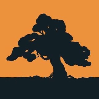 Аватар Телеграм каналу "«Желтый двор»" @dvorbooks
