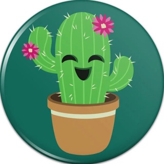 Лысый Кактус | Юмор - TgScanner