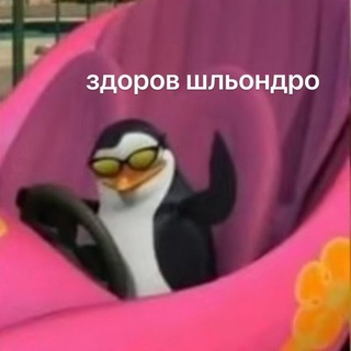 Аватар Телеграм канала "дурка кори" @korushka_mc