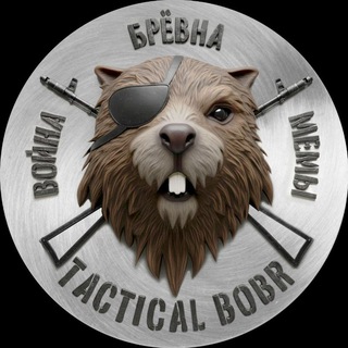 TACTICAL BOBR 🦫 - TgScanner