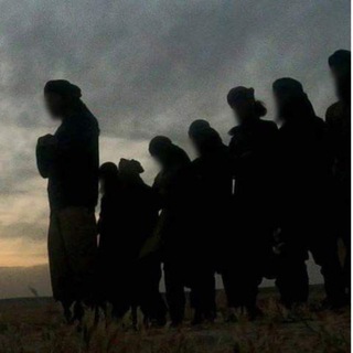 قناة التوحيد - TgScanner