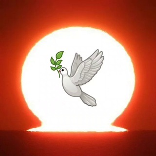 Avatar of Telegram channel "Nichts Neues unter der Sonne" @xavier_naidoo