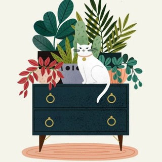 Зеленый уголок | Цветы и растения - TgScanner