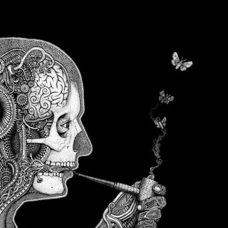 Biology Channel - TgScanner