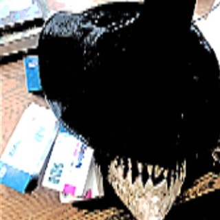 Avatar of Telegram channel "flextrik" @flextrik