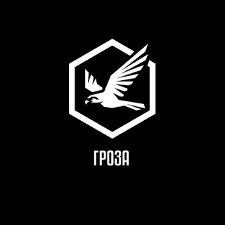 ВБС Гроза - TgScanner