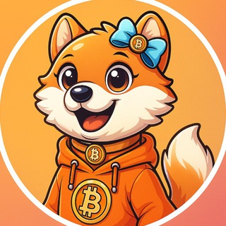 NINA | CERTIK - TgScanner
